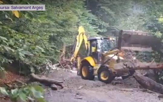 Viitură în Valea Rea din Făgăraș: Impactul unei Catastrofe Naturale Asupra Comunității și Mediului
