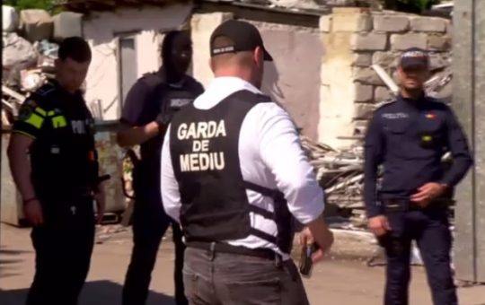 Când sesizările devin absurde: analiza plângerilor cetățenilor și impactul asupra Gărzii de Mediu