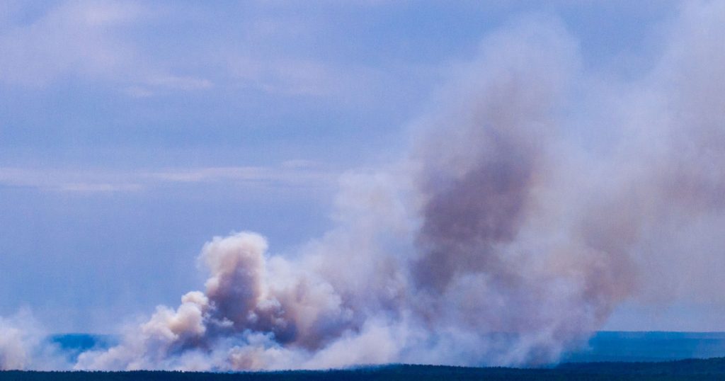Canicula din Germania: Impactul incendiilor și criza apei în fața schimbărilor climatice