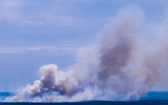 Canicula din Germania: Impactul incendiilor și criza apei în fața schimbărilor climatice