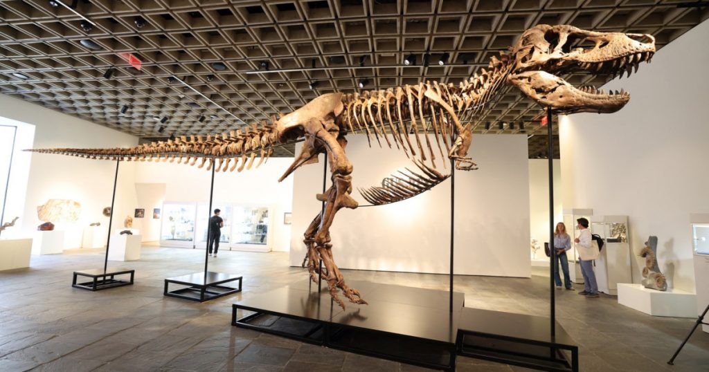 Vânzarea record a scheletului de T-Rex: Implicații și perspective asupra pieței fosilelor