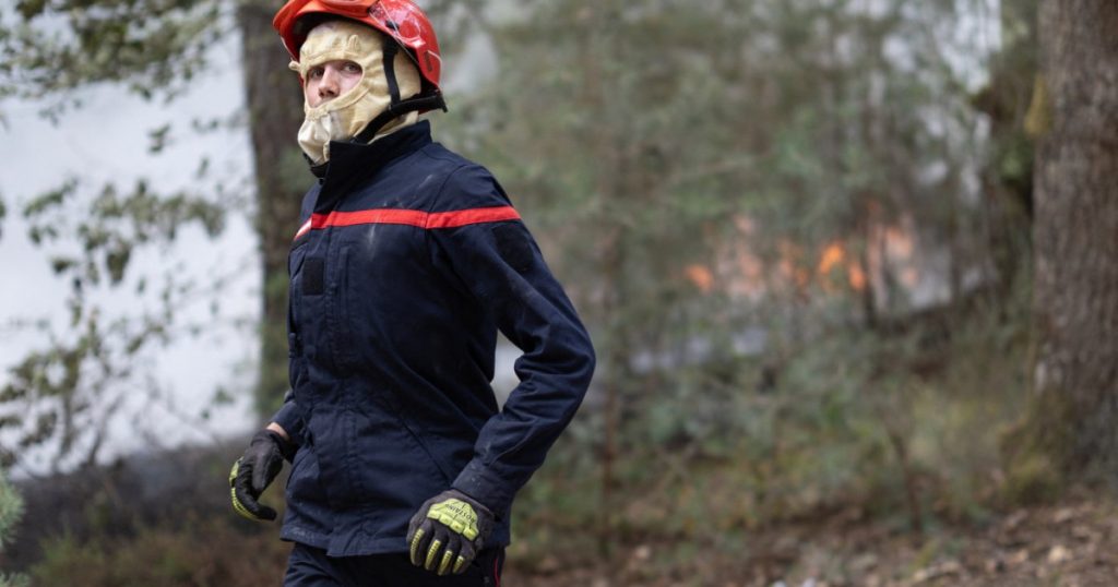 Incendiile devastatoare de la Fontainebleau: O analiză a cauzelor, implicațiilor și răspunsului autorităților