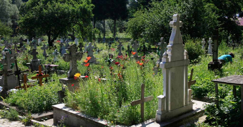 Cazul Profanării Mormântului Victimei lui Emil Gânj: O Investigație În Profunzime