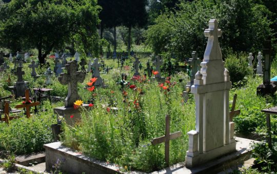 Cazul Profanării Mormântului Victimei lui Emil Gânj: O Investigație În Profunzime