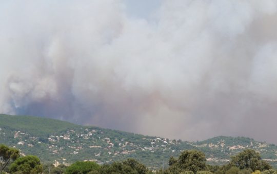 Incendiile de Pădure din Spania: O Analiză Detaliată a Stării de Urgență și a Impactului Asupra Cetățenilor