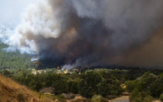 Incendii devastatoare în Spania și Franța: O criză ecologică și umanitară în sudul Europei
