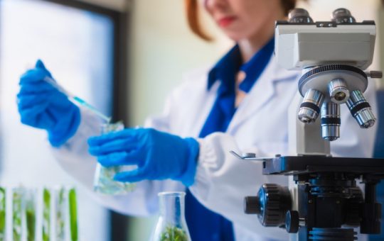 Limitele biologiei umane: Cât poate trăi, în teorie, un om?