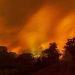 Incendii devastatoare în Puglia: O analiză a evacuărilor și a impactului ecologic