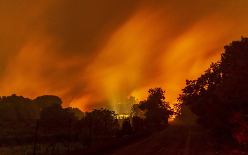Incendii devastatoare în Puglia: O analiză a evacuărilor și a impactului ecologic
