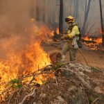 Incendiile devastatoare din Franța și Spania: o criză ecologică și umanitară în contextul schimbărilor climatice