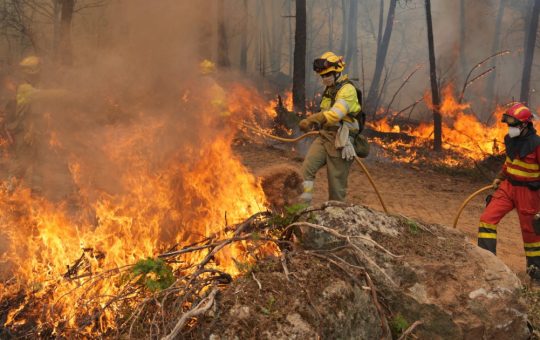 Incendiile devastatoare din Franța și Spania: o criză ecologică și umanitară în contextul schimbărilor climatice