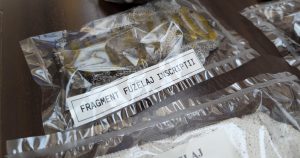 Incursiunea Dronelor Rusești în Spațiul Aerian Românesc: Reacția Uniunii Europene și Implicațiile Geopolitice