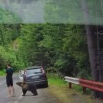Întâlniri periculoase pe Transfăgărășan: Turismul și fauna sălbatică în România