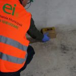 Primăria Capitalei și Lupta cu Șobolanii: O Problemă Ce Necesită Implicarea Fiecărui Cetățean
