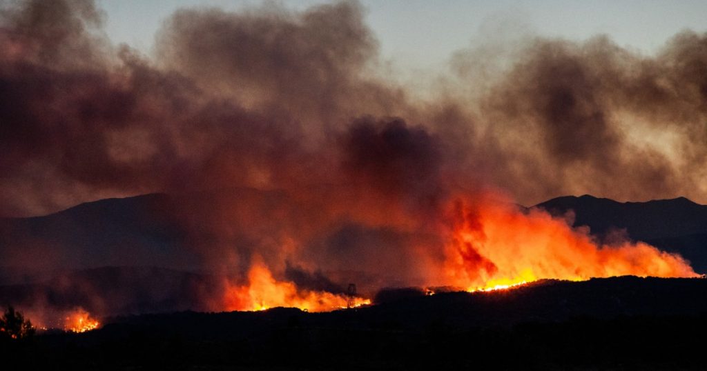 Incendiile de vegetație din Europa: Provocări, măsuri și perspective pentru un viitor mai sigur