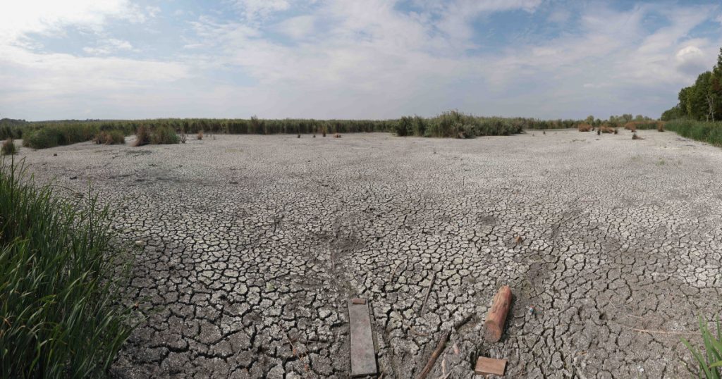 Impactul ploilor de vară asupra secetei: O analiză profundă a provocărilor climatice