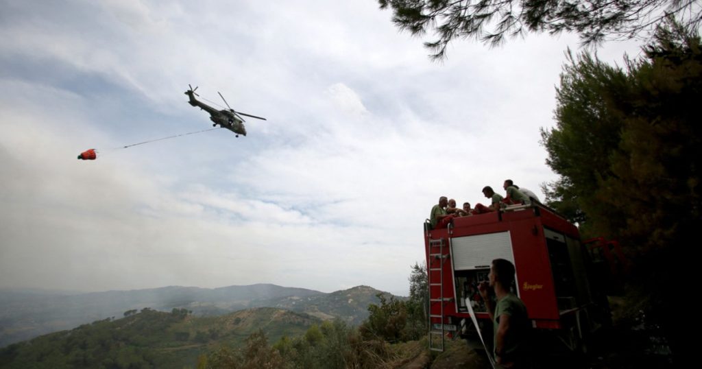 Incendiile de pădure din Balcani: o criză ecologică provocată de caniculă și iresponsabilitate