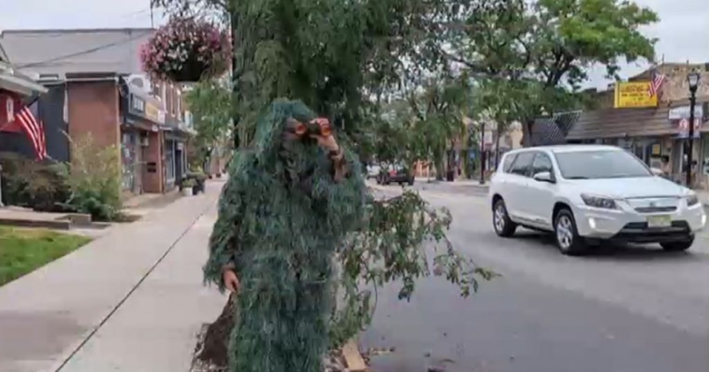 Inovație în Poliție: Cum un Ofițer S-a Deghizat în Copac pentru a Combate Distragerea Șoferilor