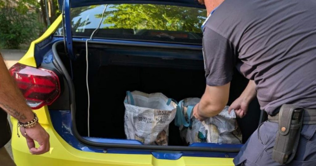 Scandalul pirotehnic de la Ploiești: Un taximetrist din București prins în flagrant în vânzarea de materiale interzise suporterilor israelieni