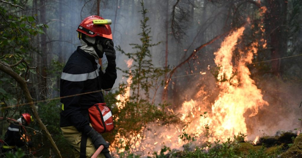 Incendiile din Franța: Descoperiri surprinzătoare și impactul devastator al incendiilor de vegetație