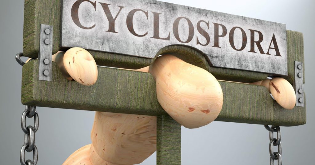 Ciclosporiază în Statele Unite: O criză de sănătate publică și primele victime din Michigan