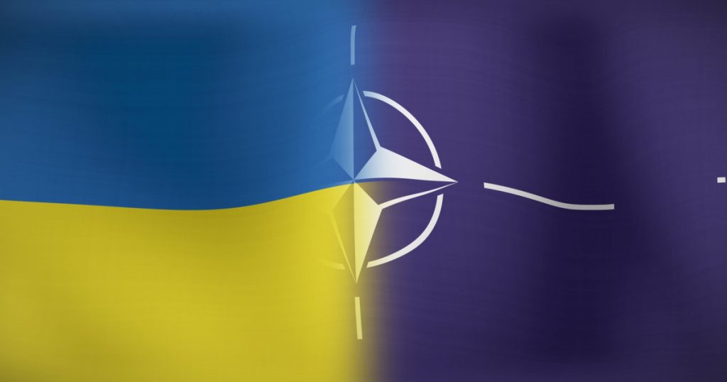 Perspectivele Ucrainei asupra Integrării în NATO: O Analiză a Declarațiilor lui Valerii Zalujnîi