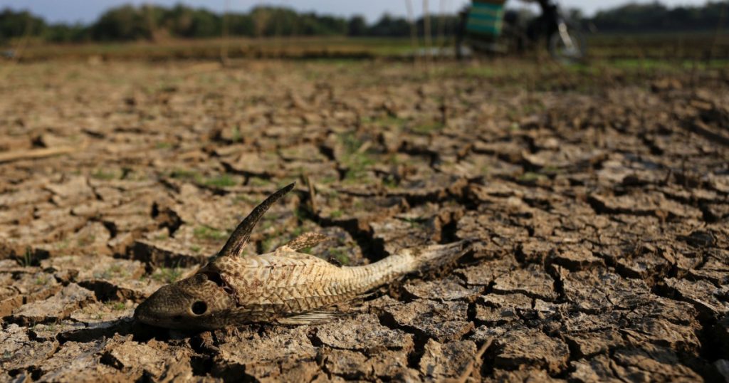 Impactul iminent al fenomenului El Niño: Avertismentele ONU și implicațiile climatice globale