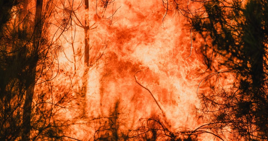 Impactul Crizei Climatice asupra Incendiilor de Vegetație din Europa: O Analiză Detaliată