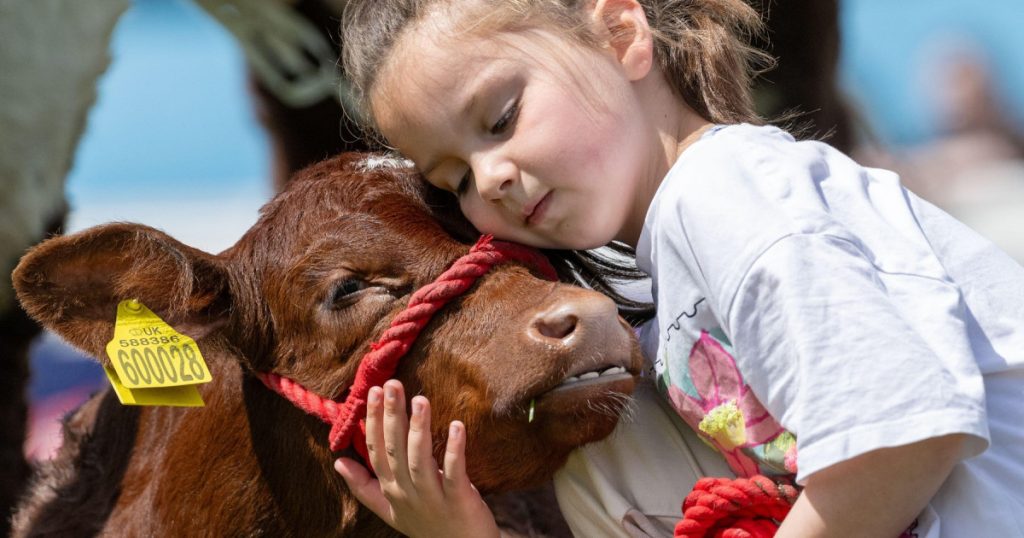 Efectul fermei: Cum bacteriile din mediul rural protejează copiii de astm și alergii