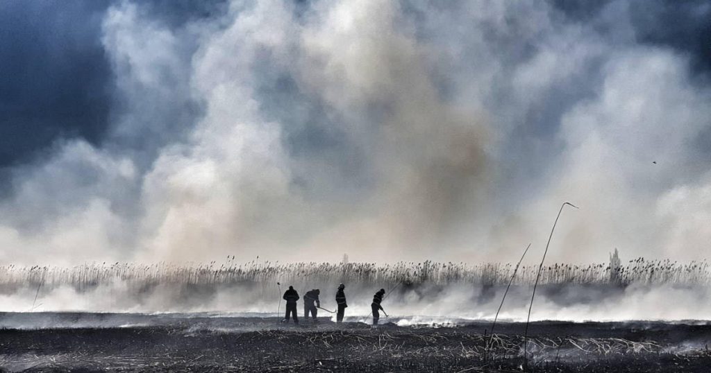 Incendiile de Vegetație din Caraș-Severin: O Luptă Continuă pentru Salvarea Naturii și a Comunităților