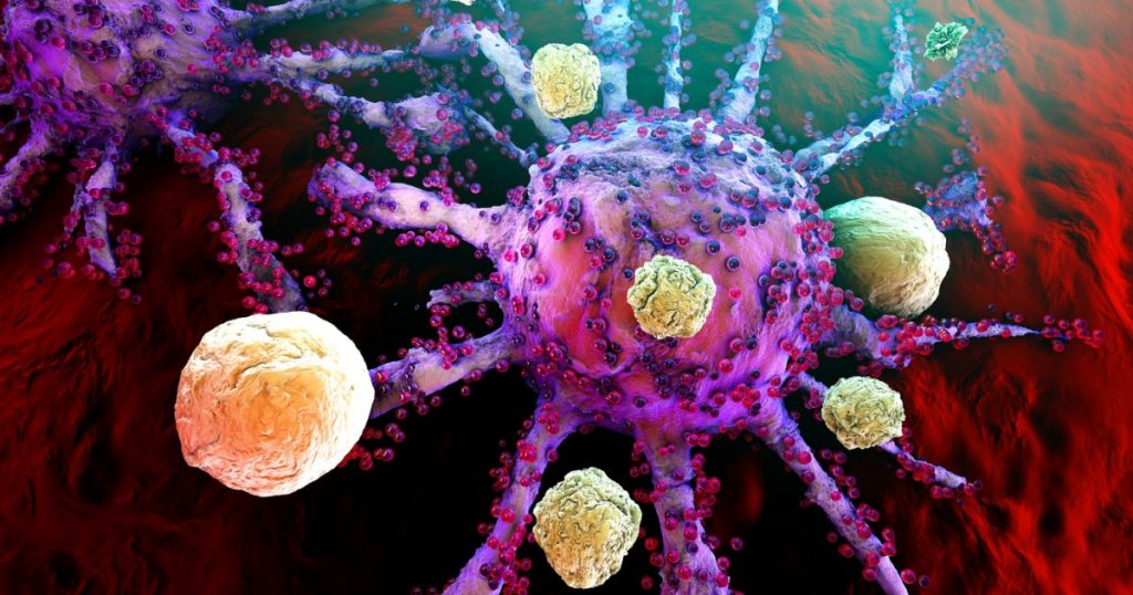 De ce cancerul nu se transmite între oameni: O explorare a mecanismelor biologice și a cazurilor rare de transmitere la animale