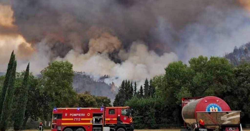 Incendiul de Vegetație din Reșița: O Analiză a Impactului și Intervenției în Fața Crizei Ecologice