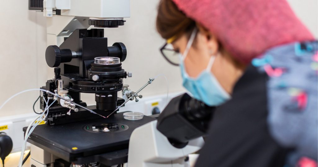 Ghidul cuplurilor în alegerea clinicii de fertilizare in vitro: Cum să iei cele mai informate decizii