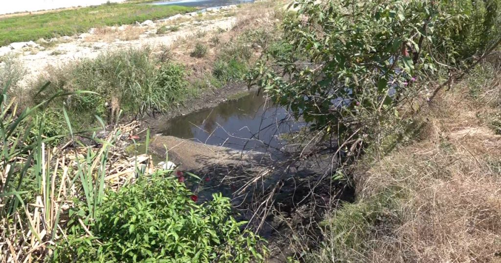 Poluarea apelor din Târgu Jiu: O criză ecologică care necesită acțiuni imediate