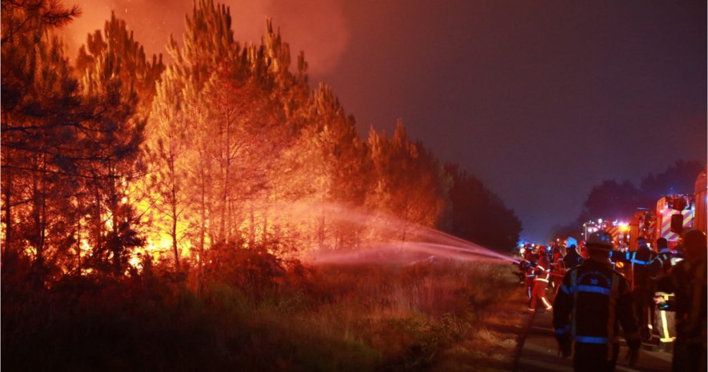 Seceta Extinsă din Franța: O Criză Ecologică și Provocările Viitoare