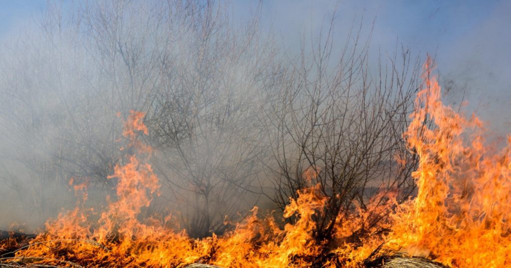 Incendii devastatoare în Caraş-Severin: Eforturile eroice ale pompierilor și impactul asupra comunității
