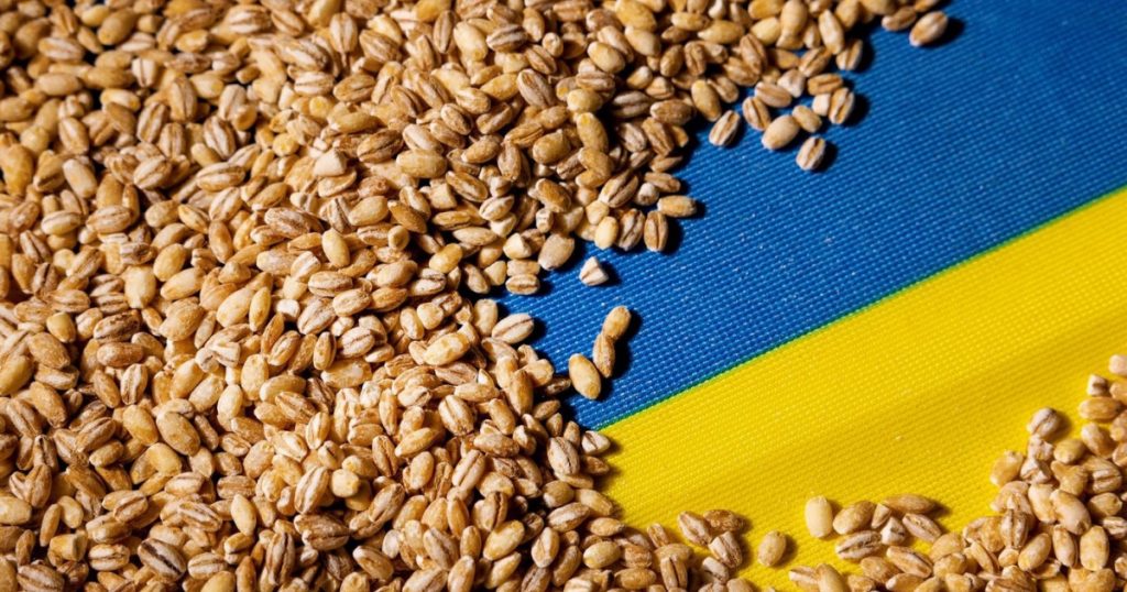 Portul Constanța: Un Coridor Vital pentru Cerealele Ucrainene și Implicațiile Sale Geopolitice