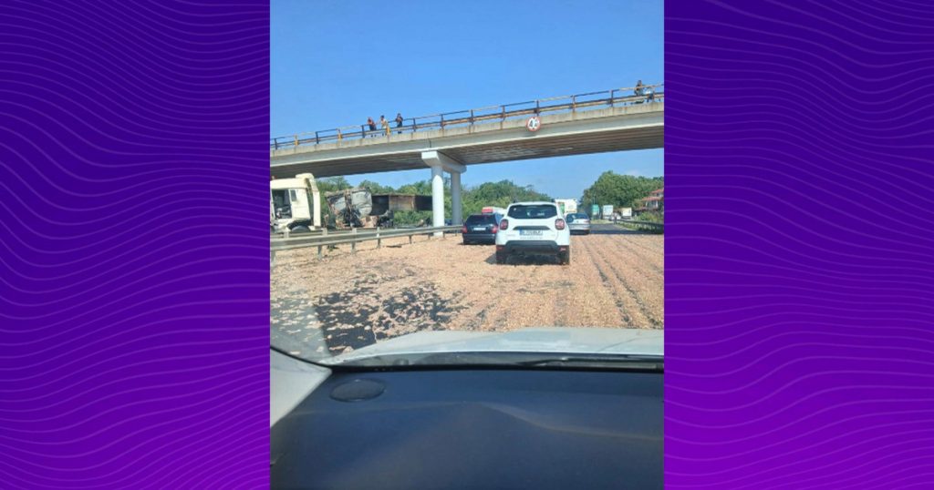 Incident pe A1 București–Pitești: Haos și Implicații după Accidentul unui TIR cu Carne de Pui