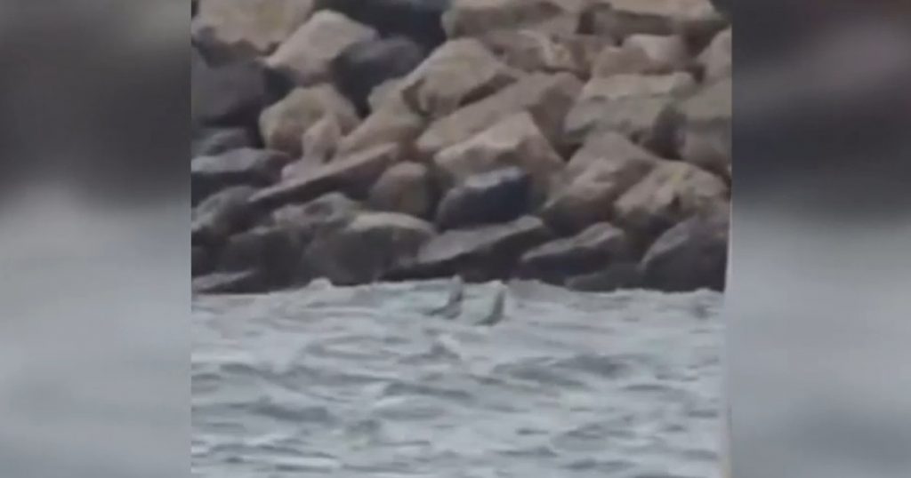 Descoperirea misterioasă de la Costinești: Ce implică resturile unei drone în mare