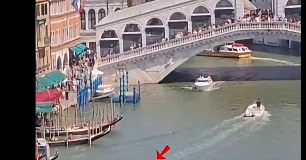 Delfinul din Canal Grande: O întâlnire rară și apelul primarului pentru protecția animalelor sălbatice