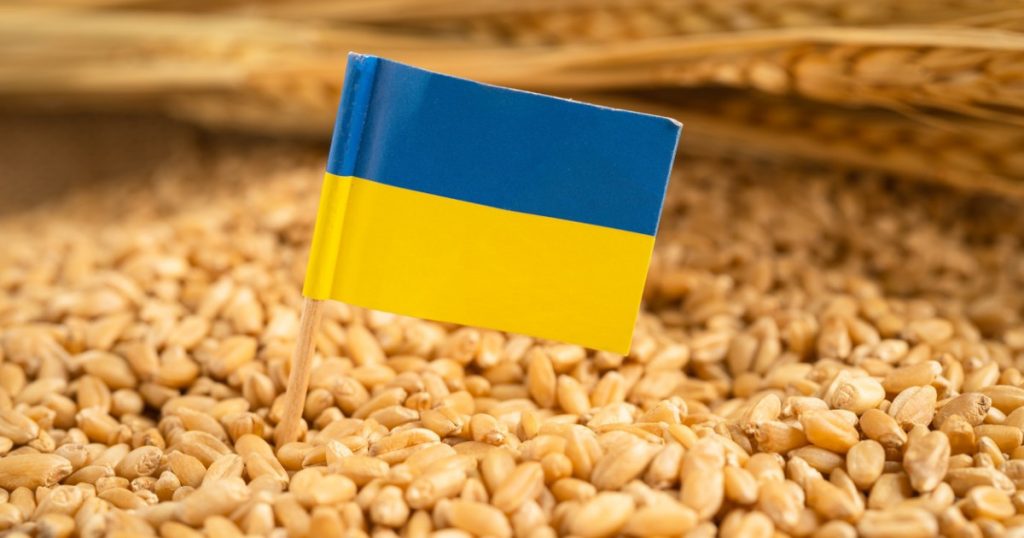 Ucraina solicită 220 de milioane de euro de la UE: Impactul războiului și secetei asupra agriculturii