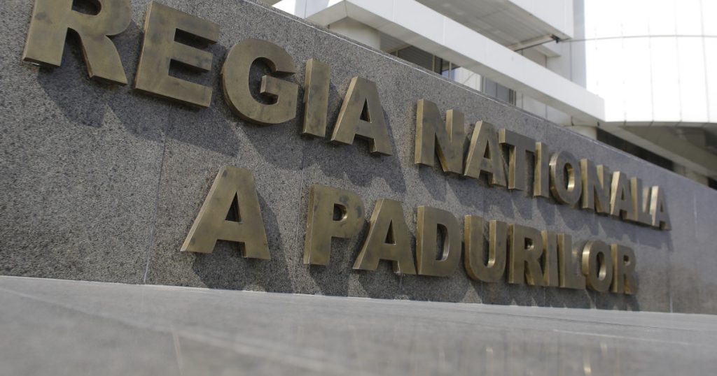 Achiziții fără licitație la Romsilva: O analiză a tendințelor și implicațiilor pentru gestionarea fondurilor publice