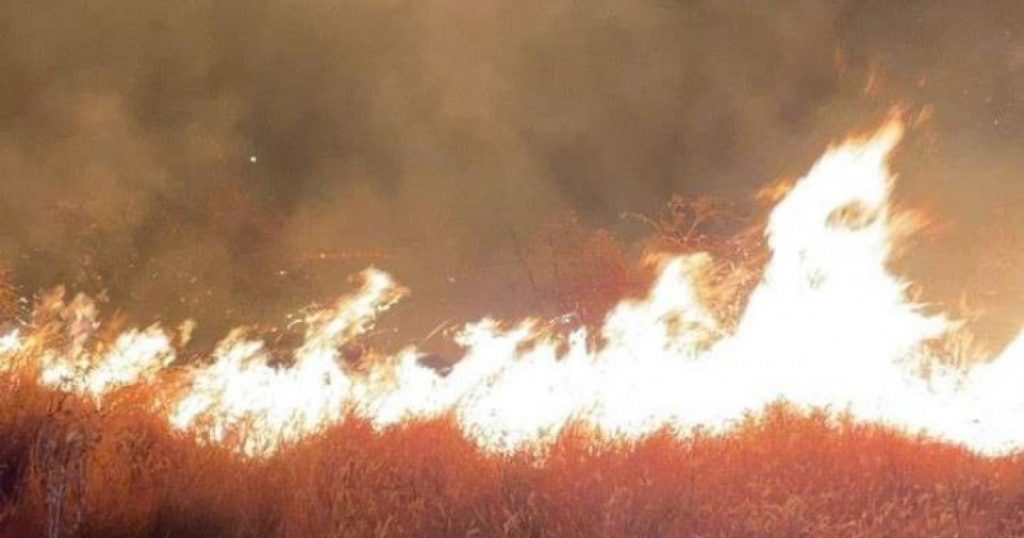 Incendii devastatoare pe litoralul croat: Impactul asupra turiștilor și măsurile de siguranță
