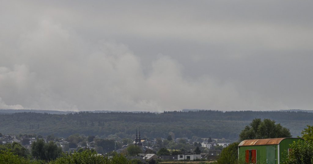 Incendii devastatoare în Europa: Impactul incendiilor din Belgia asupra mediului și comunităților