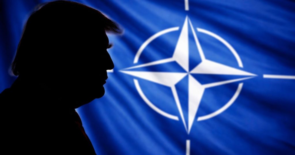 Evaluarea loialității aliaților NATO în era Trump: O analiză detaliată a chestionarului american