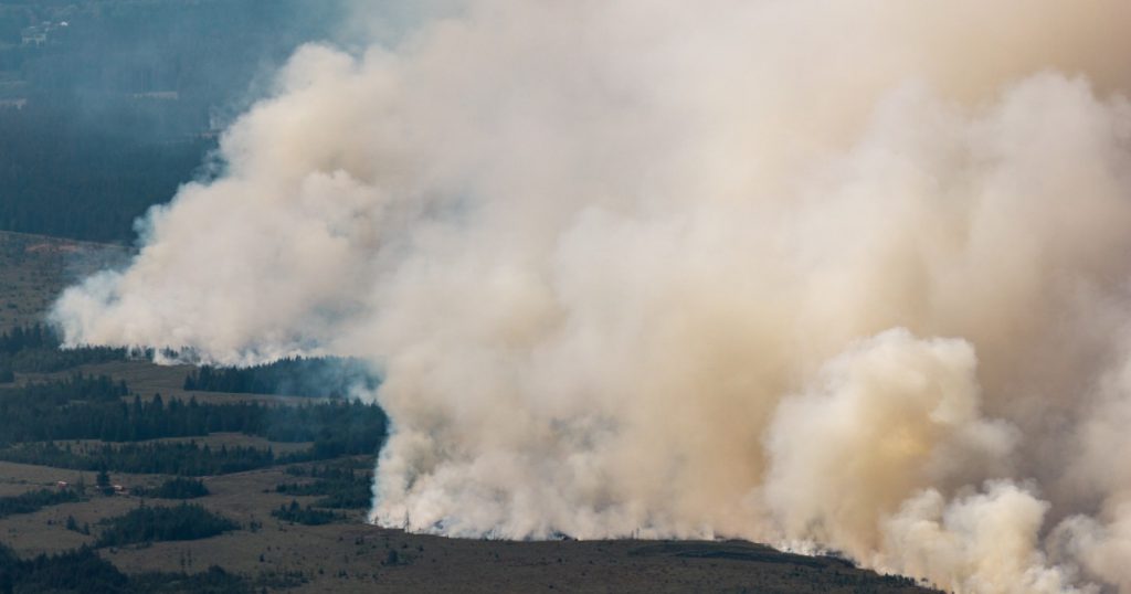 Incendiul devastator din Belgia: O criză ecologică și umană în fața schimbărilor climatice