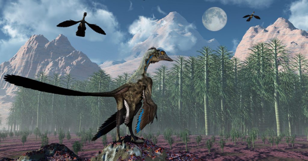 Descoperirile recente despre Archaeopteryx: Primele încercări de zbor ale păsărilor și implicațiile lor evolutive