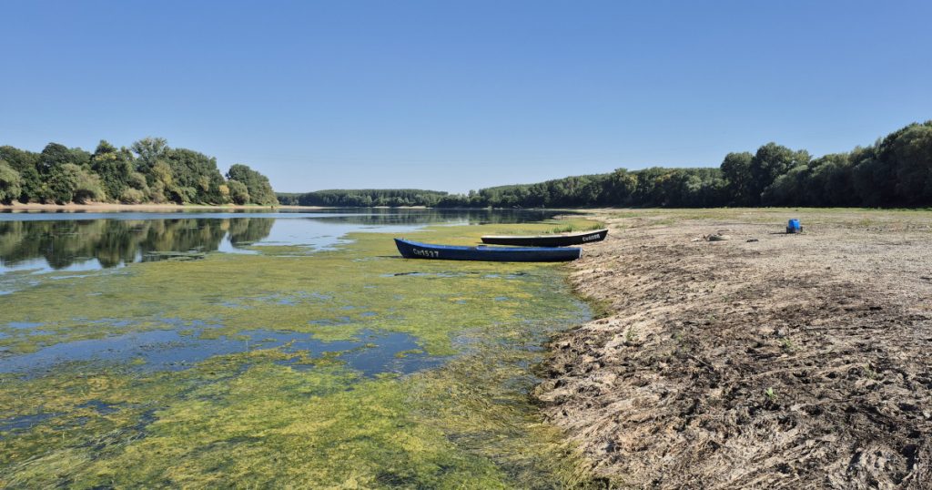 Pedalând pe Dunăre: O călătorie ecologică și provocările climatice