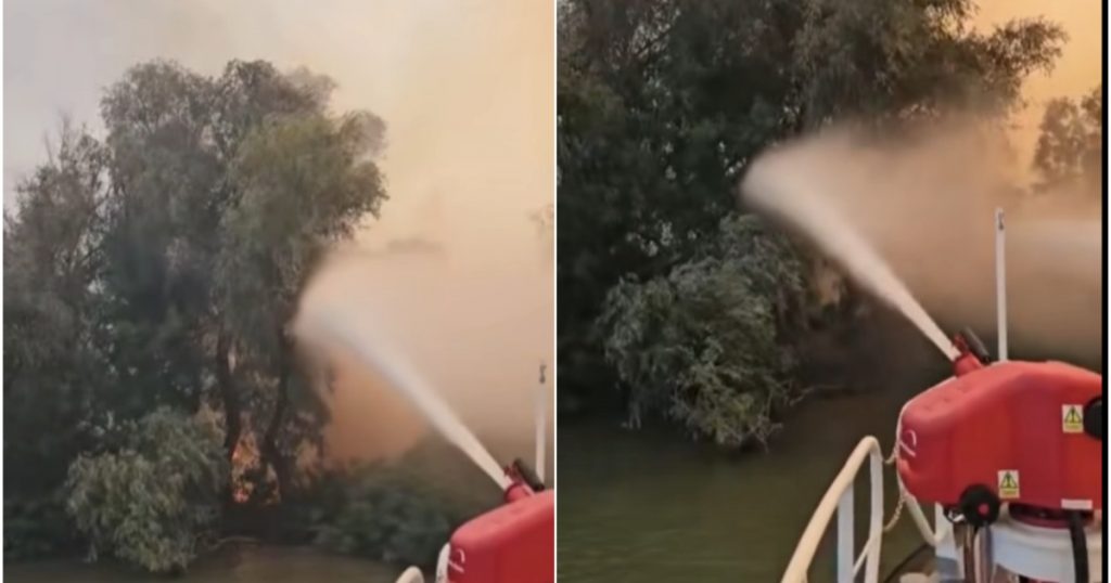 Incendiul devastator din Delta Dunării: Impactul asupra mediului și comunităților locale