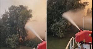 Incendiul devastator din Delta Dunării: Impactul asupra mediului și comunităților locale